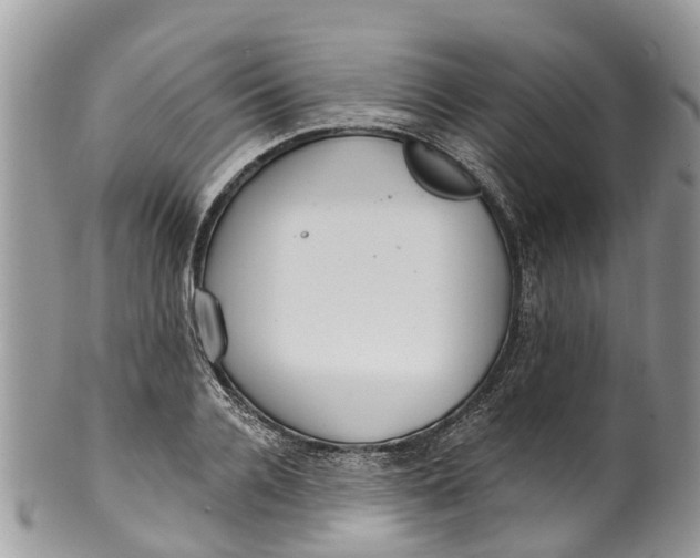 X0000099970936200806131529