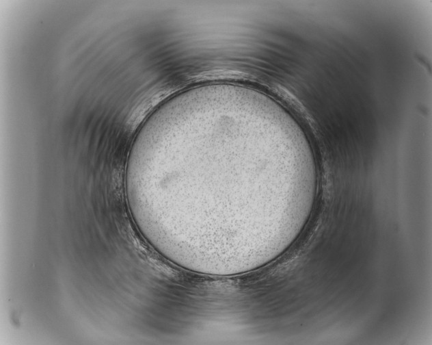 X0000099970937200806131529