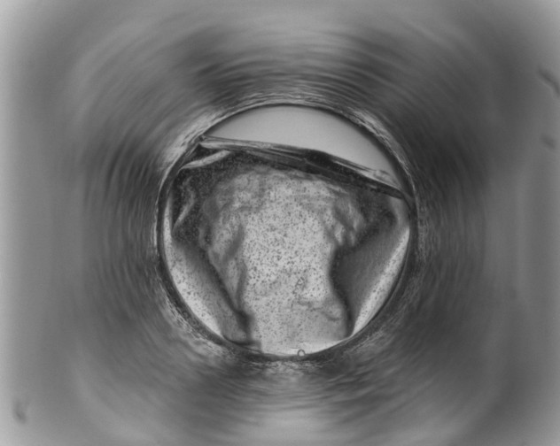 X0000099970938200806131529