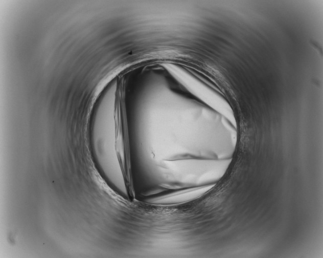 X0000099970939200806131529