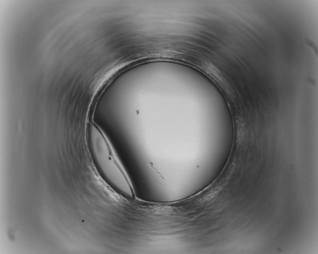 X0000099970940200806131529