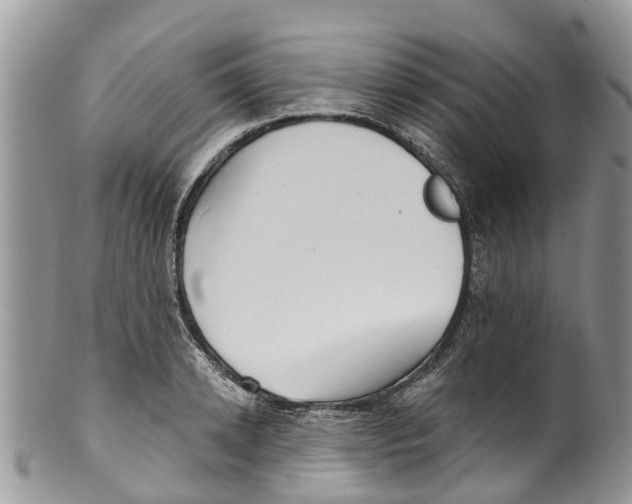 X0000099970942200806131529