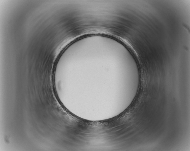 X0000099970943200806131529