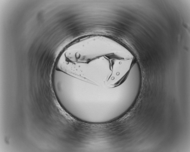 X0000099970944200806131529