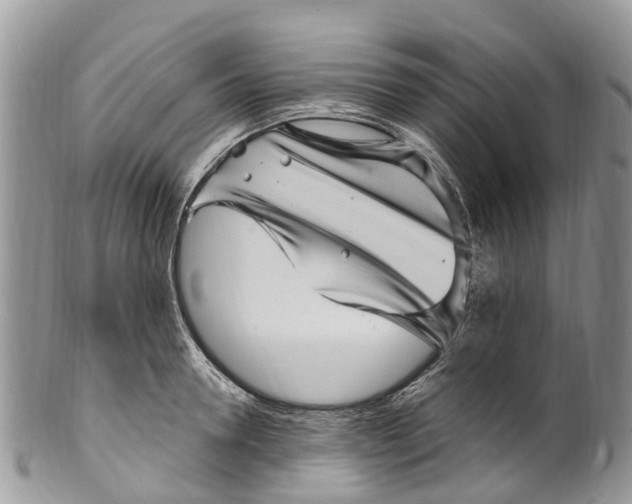 X0000099970946200806131529