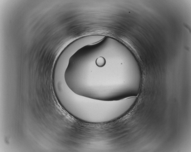 X0000099970948200806131529