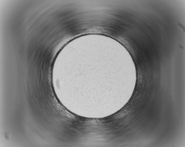 X0000099970950200806131529