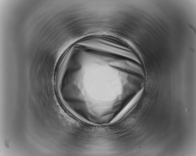 X0000099970951200806131529