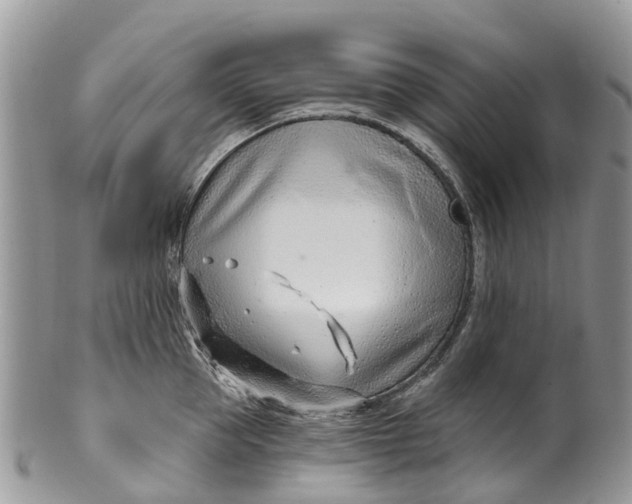 X0000099970953200806131529