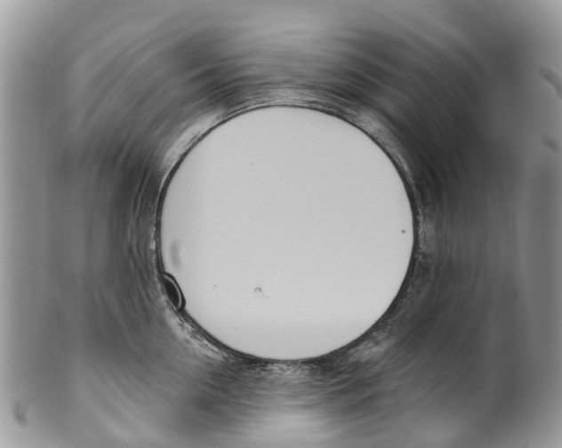 X0000099970954200806131529