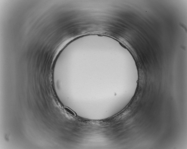 X0000099970956200806131529