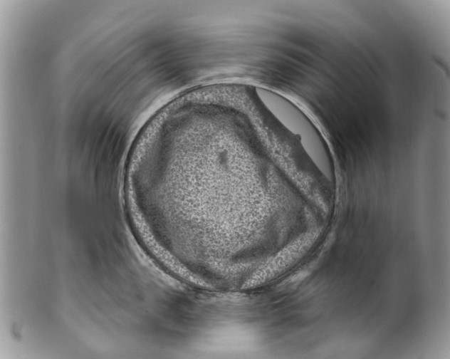 X0000099970957200806131529