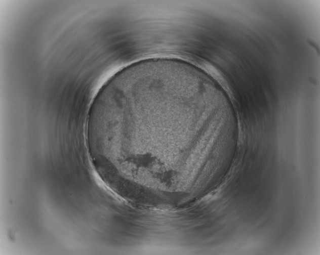 X0000099970958200806131529