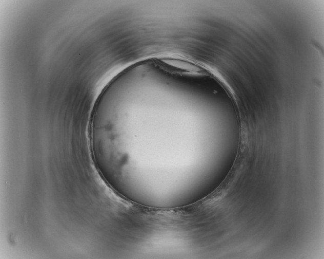 X0000099970959200806131529