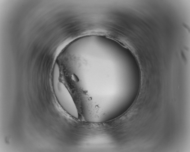 X0000099970960200806131529