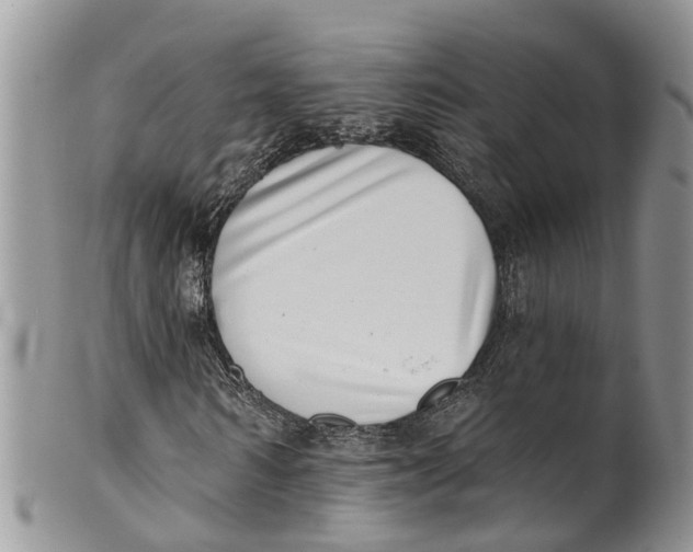 X0000099970962200806131528