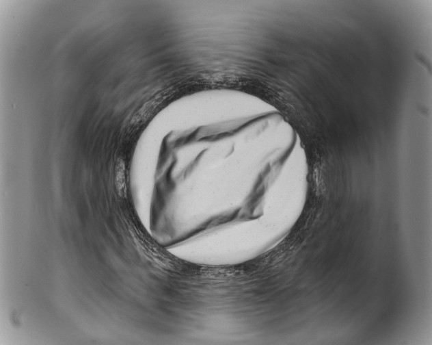 X0000099970963200806131528