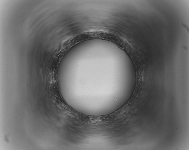 X0000099970965200806131528