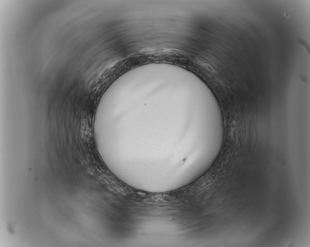 X0000099970966200806131528