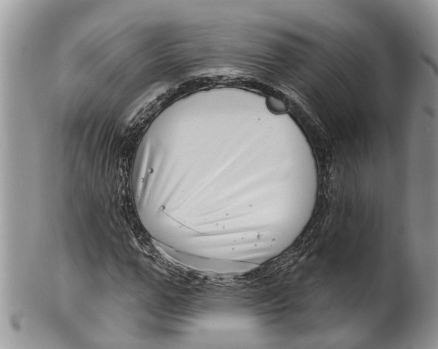 X0000099970967200806131528