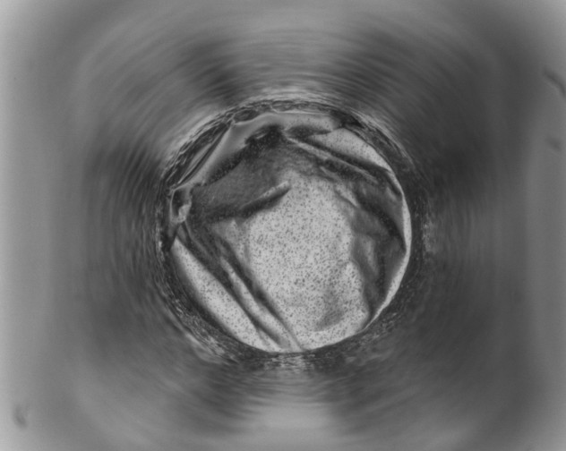 X0000099970968200806131528