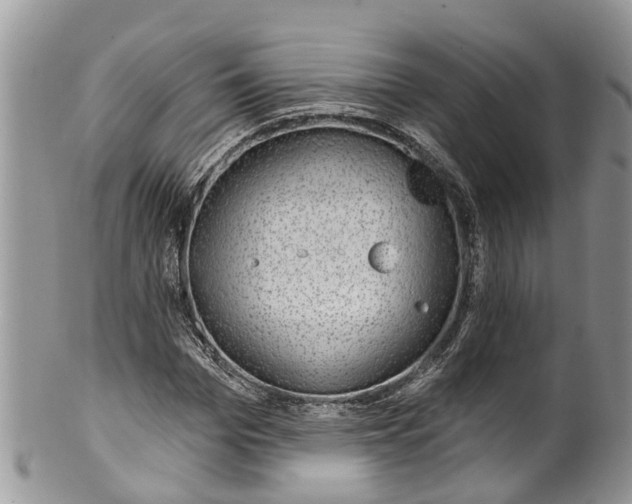 X0000099970969200806131528