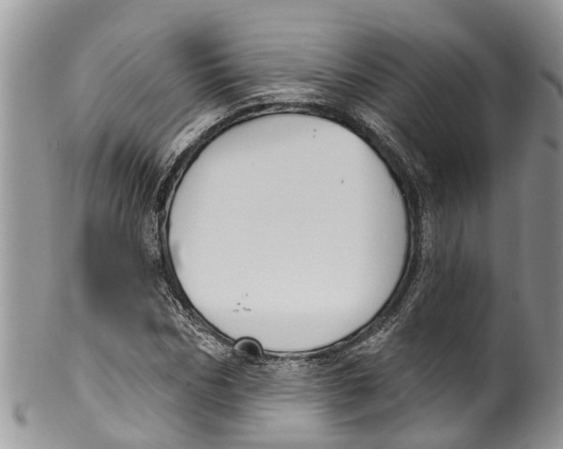 X0000099970970200806131528