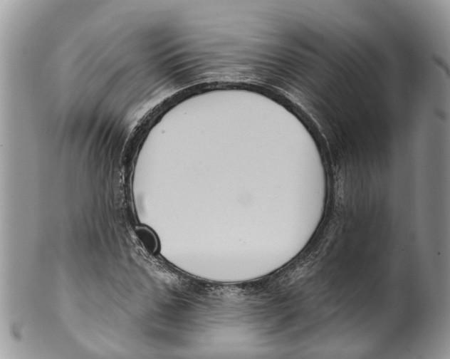 X0000099970971200806131528