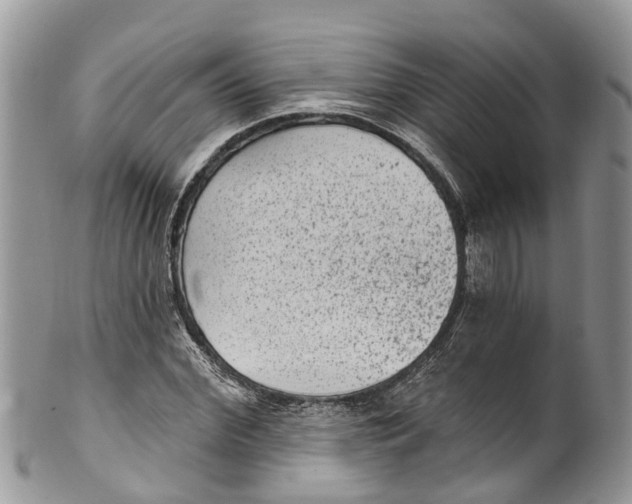 X0000099970972200806131528