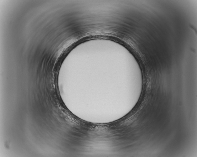 X0000099970974200806131528