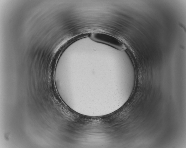 X0000099970975200806131528