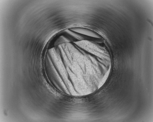 X0000099970976200806131528