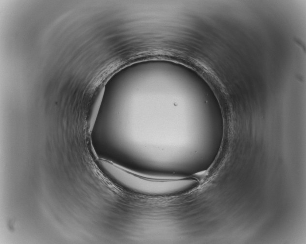 X0000099970977200806131528