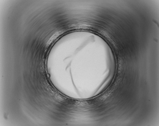 X0000099970978200806131528