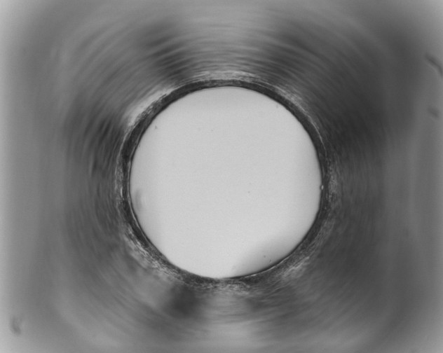 X0000099970979200806131528