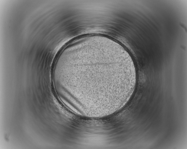 X0000099970980200806131528