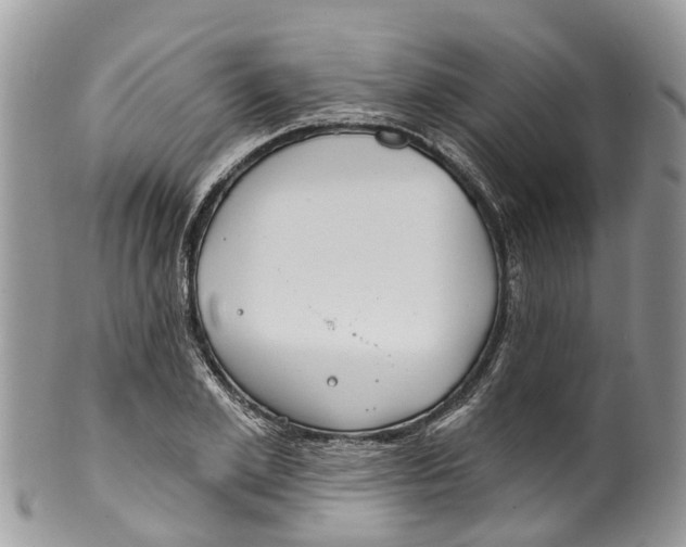 X0000099970981200806131528