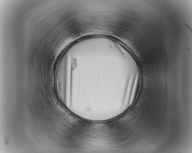 X0000099970982200806131528