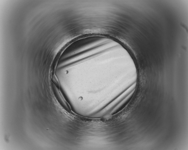 X0000099970983200806131528