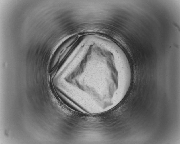 X0000099970984200806131528