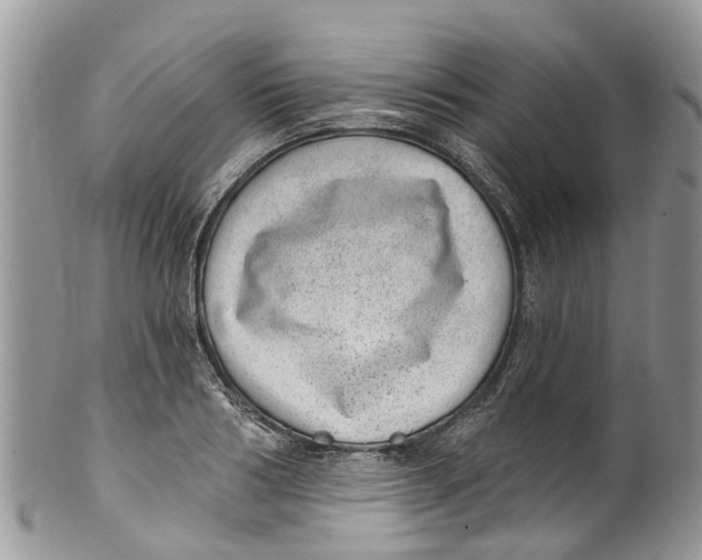 X0000099970986200806131528