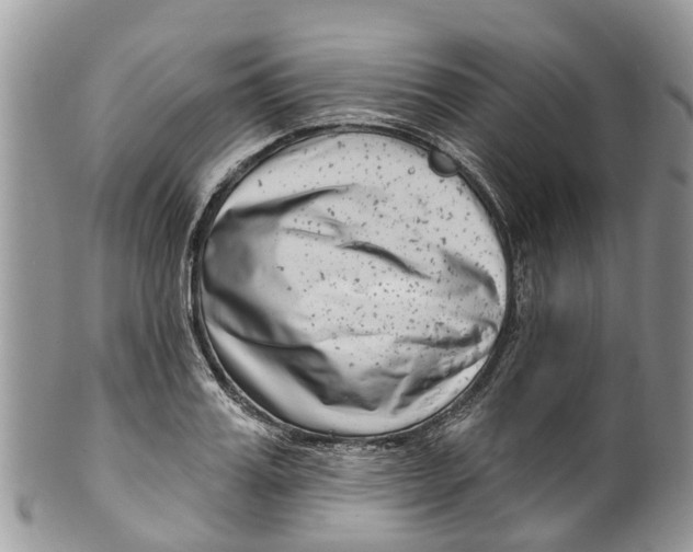 X0000099970987200806131528