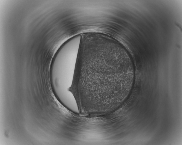 X0000099970988200806131528