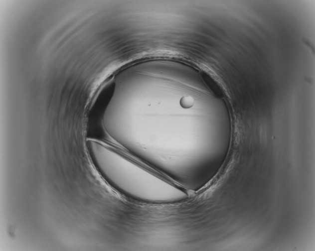 X0000099970989200806131528