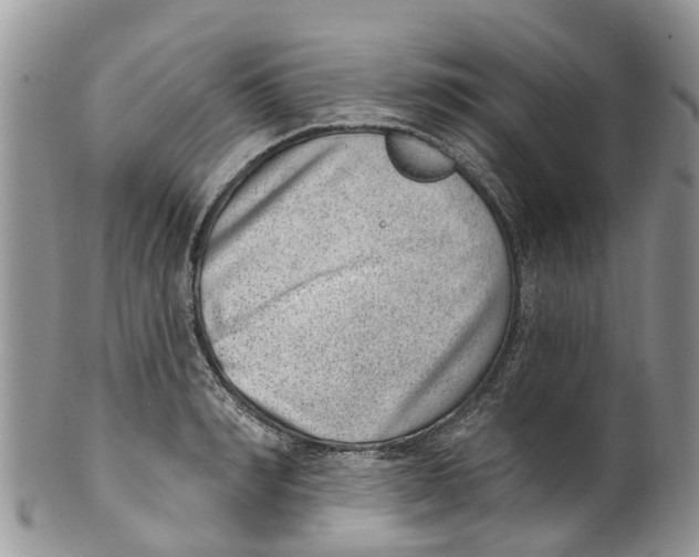 X0000099970990200806131528