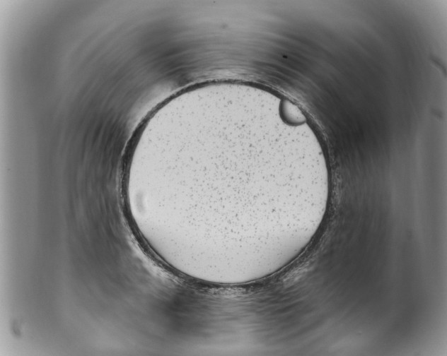 X0000099970991200806131528