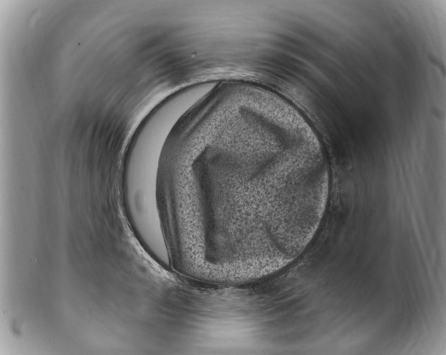 X0000099970992200806131528