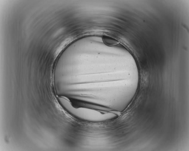 X0000099970994200806131528