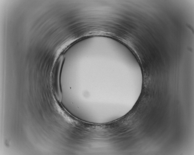 X0000099970995200806131528