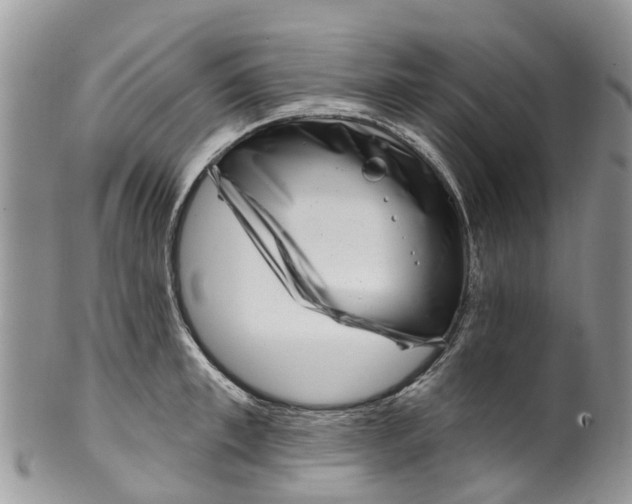 X0000099970997200806131528